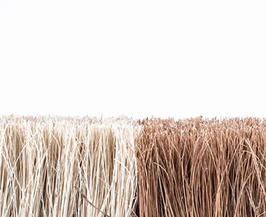 pędzle zwane smołowcami