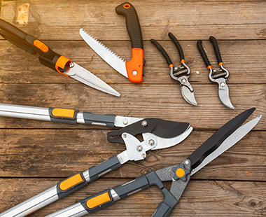 narzędzia ogrodowe do cięcia